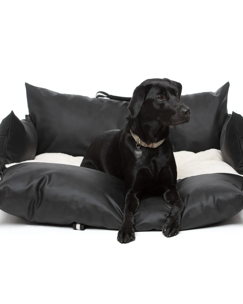 A black Labrador sitting in the black Dog Dock