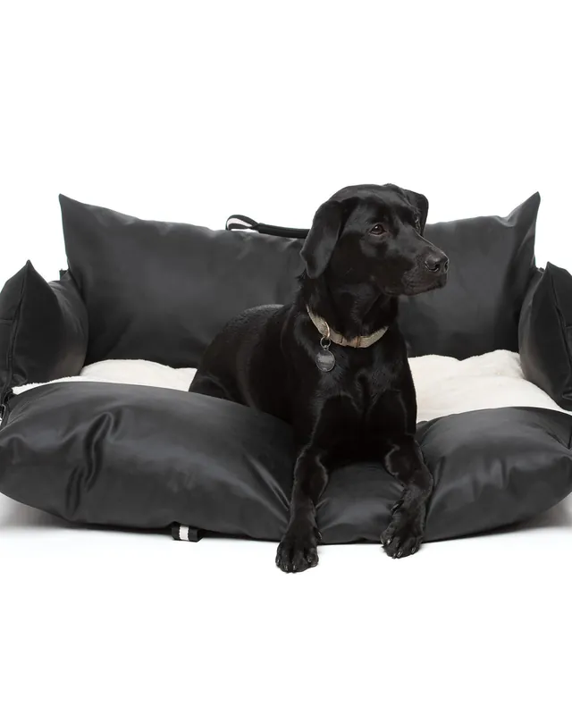 A black Labrador sitting in the black Dog Dock